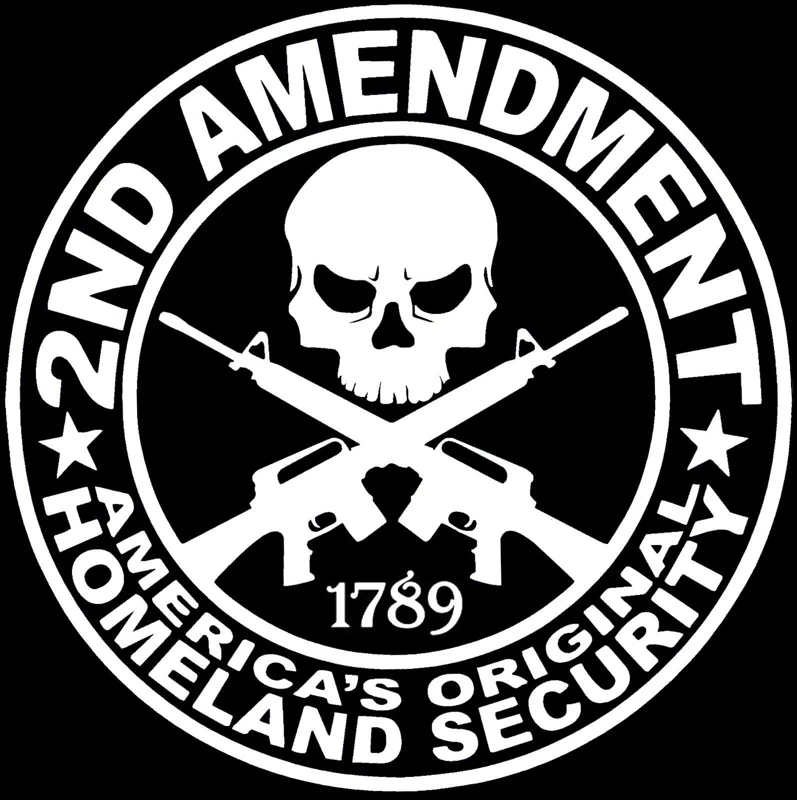 ✨ 6" 2nd Amendment Vinyl Sticker – Gun Rights Decal for Car/Truck/Window – Any Color – Sticky Chix ✨